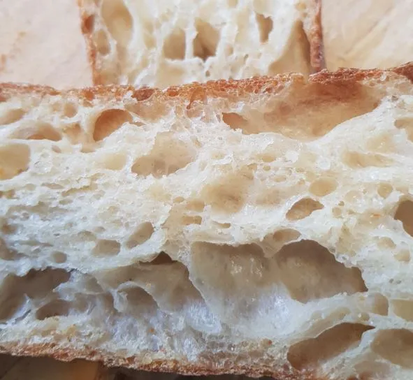 Baguette bake 2 @ 56h retard - detailed crumb