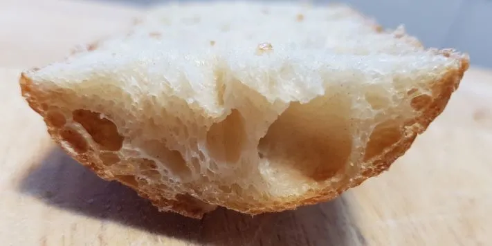 Baguette bake 3 @ 80h retard - crust cross-section