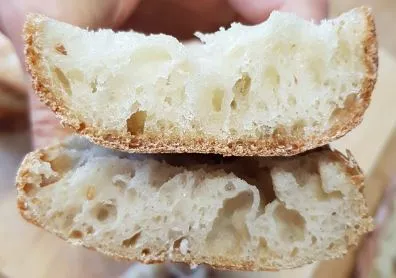 Baguette batch C bake 2 - crust cross-section (yeast and sourdough)