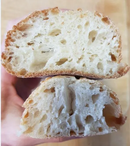 Baguette batch C bake 3 - crust cross-section (yeast and sourdough)