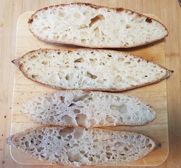 Baguette batch C bake 3 - crumb (yeast and sourdough)