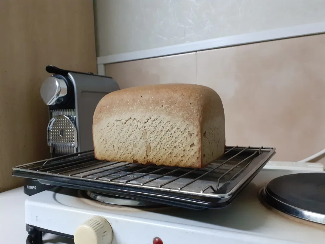 Buckwheat Sourdough Bread.jpeg