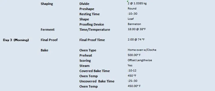 Butternut Squash & Cherry Bread 1.24.2023 Process 2.JPG