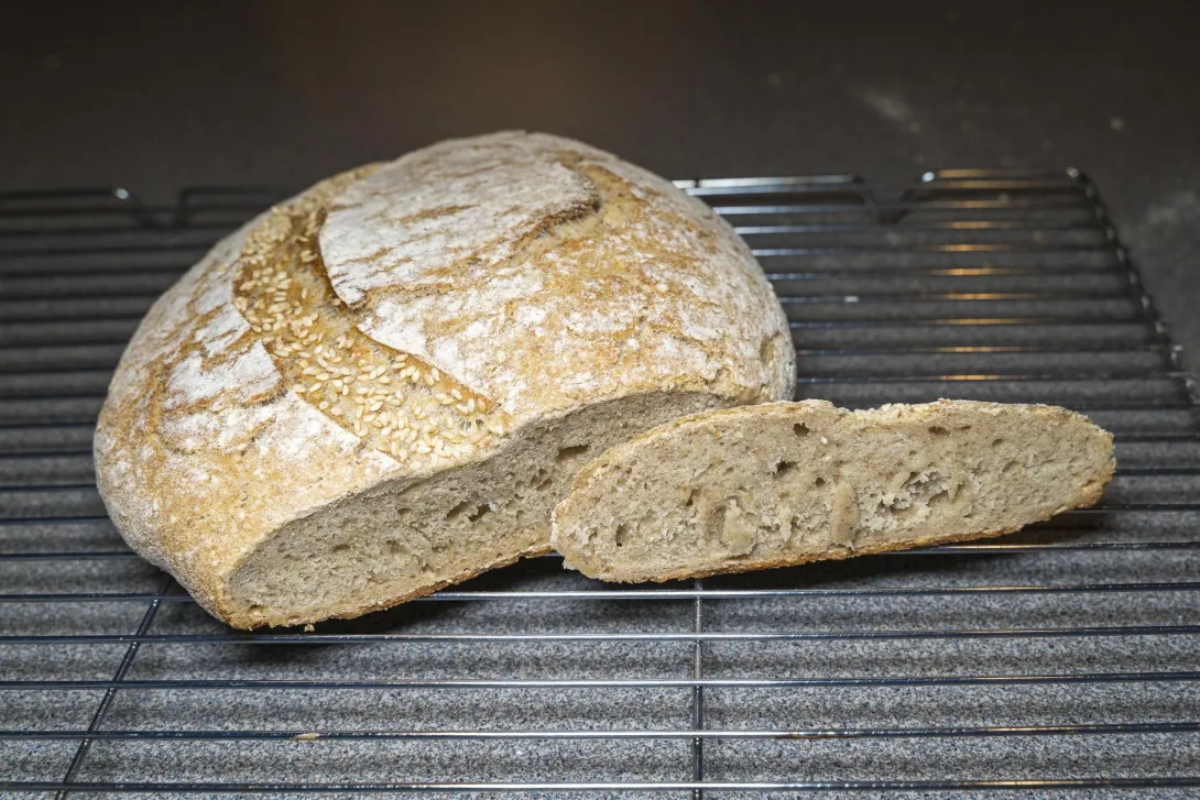 Pic of Overnight Country Blonde boule. It is flat, and it has been sliced open to reveal a dense crumb.