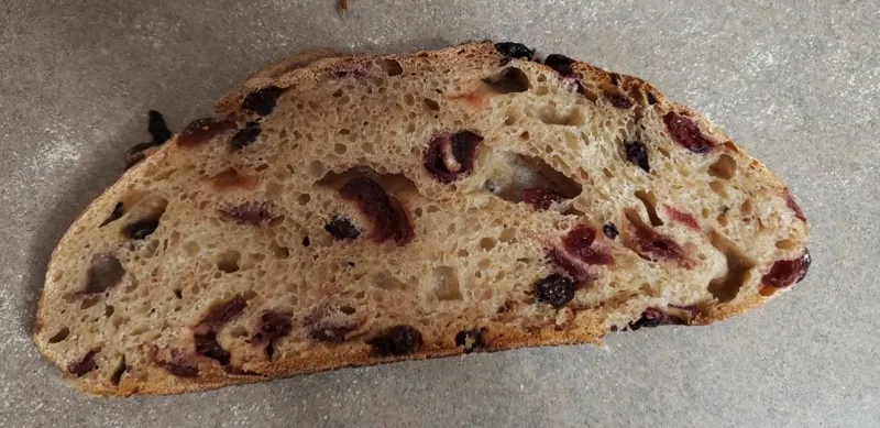 Cranberry Spelt Slice 2019:4:23.jpg