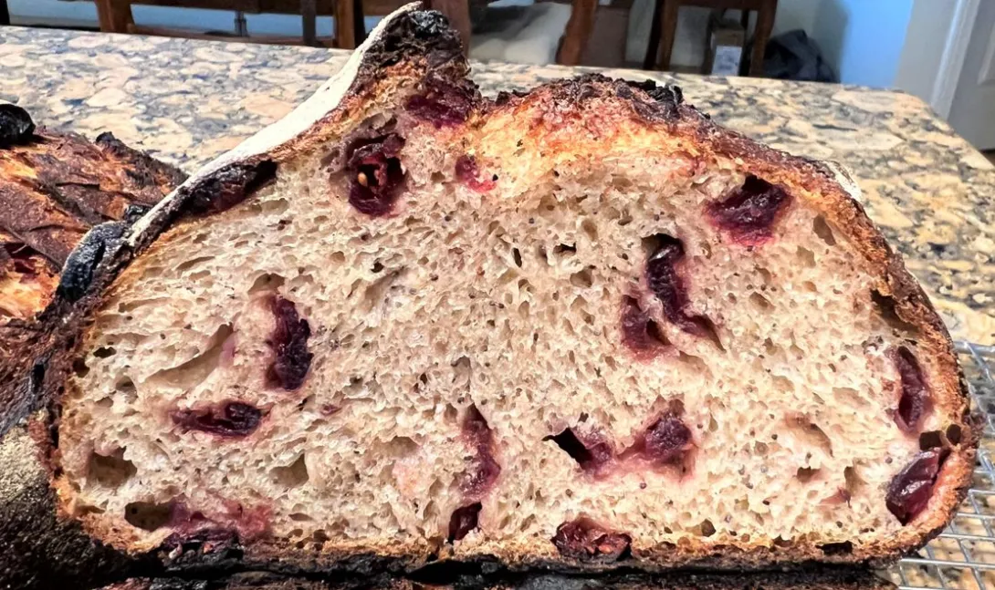 Cranberry and Poppy Semolina Bread 2.17.2023 Crumb.JPG