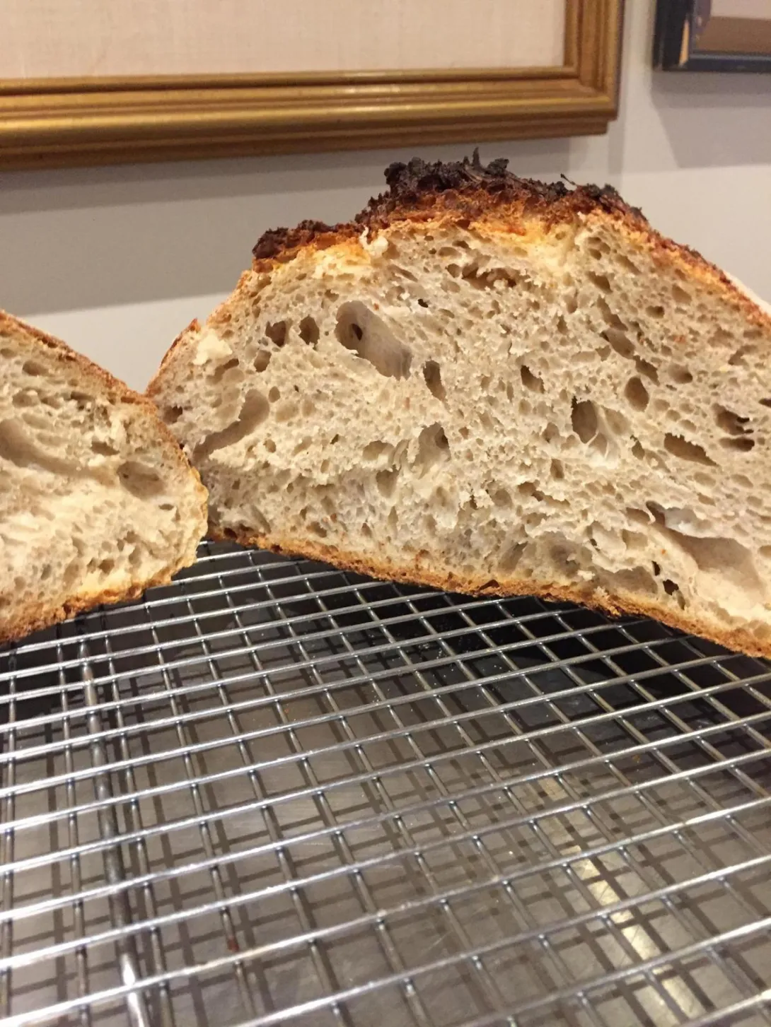 Crumb shot 1.JPG