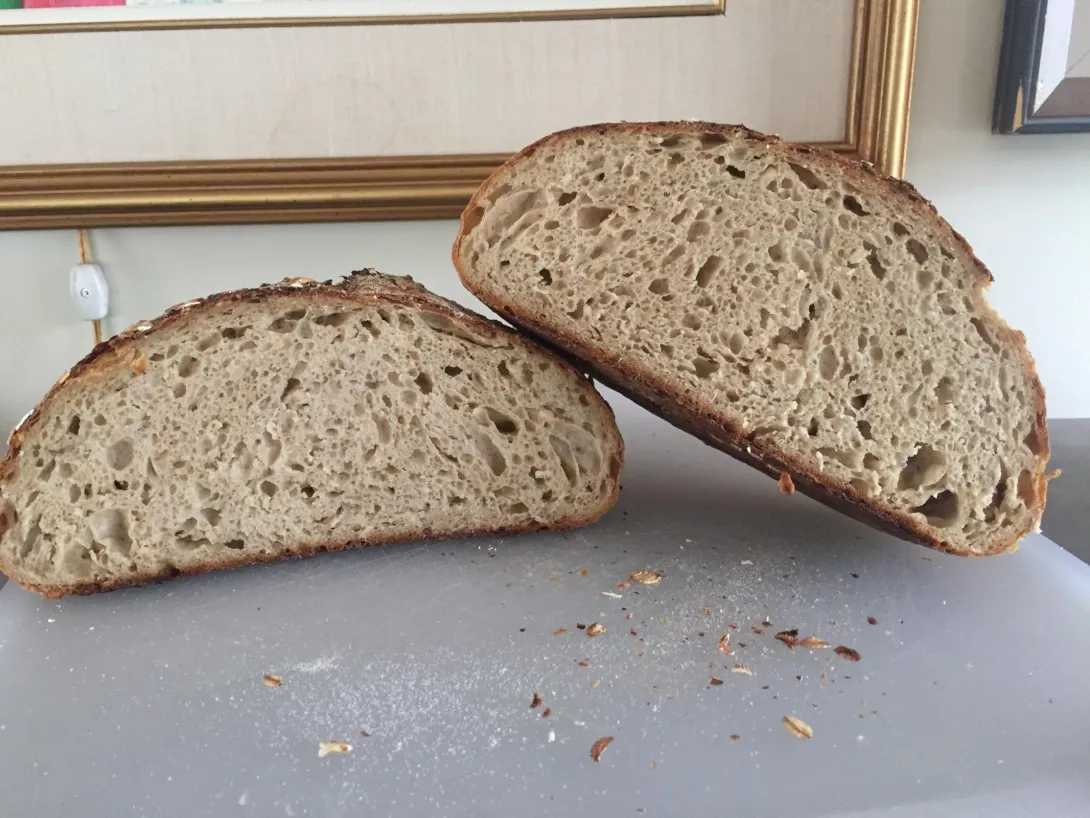 Crumb shot of porridge bread.JPG