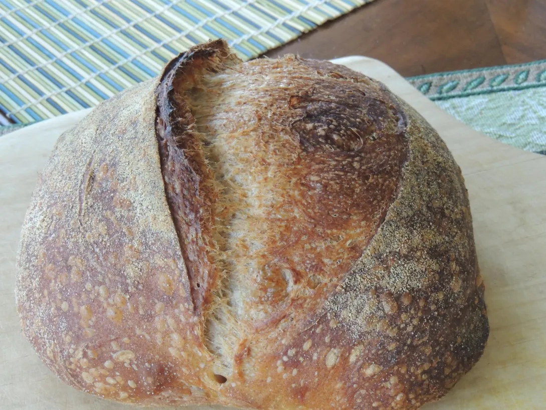 Thanks everyone for the help. This was my third SD bread. 