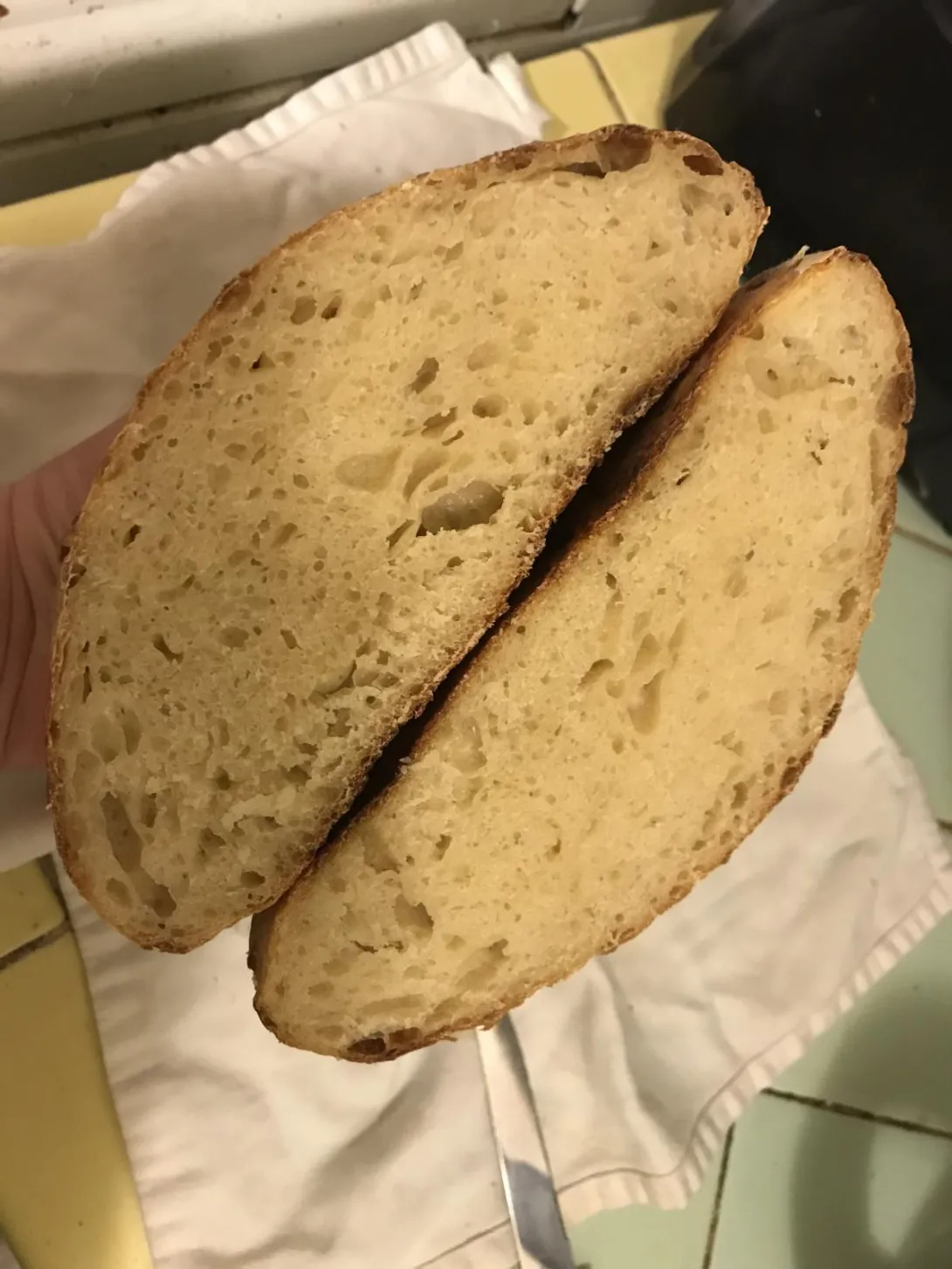 First SD crumb.jpg