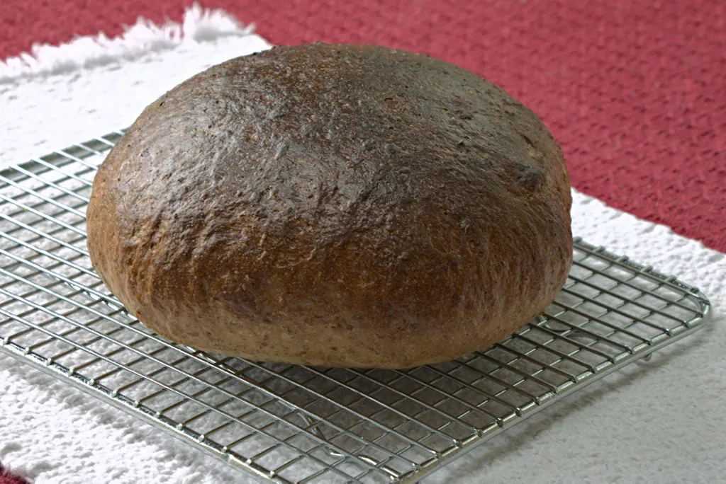 Genetztes-rye.jpg