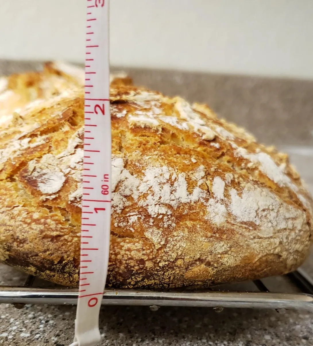 Height of smaller boule.jpg