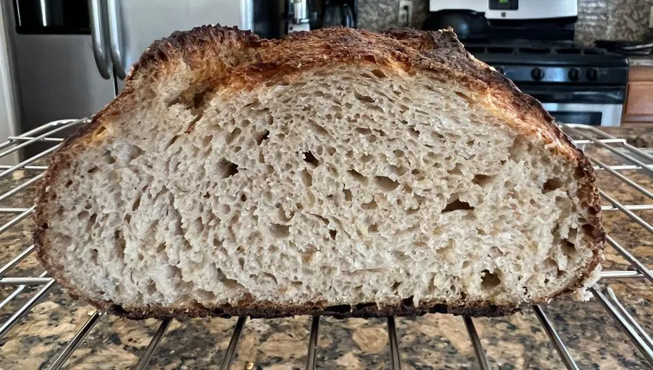 Honeyed Spelt and Oat Levain 9.8.2023 Cr.JPG