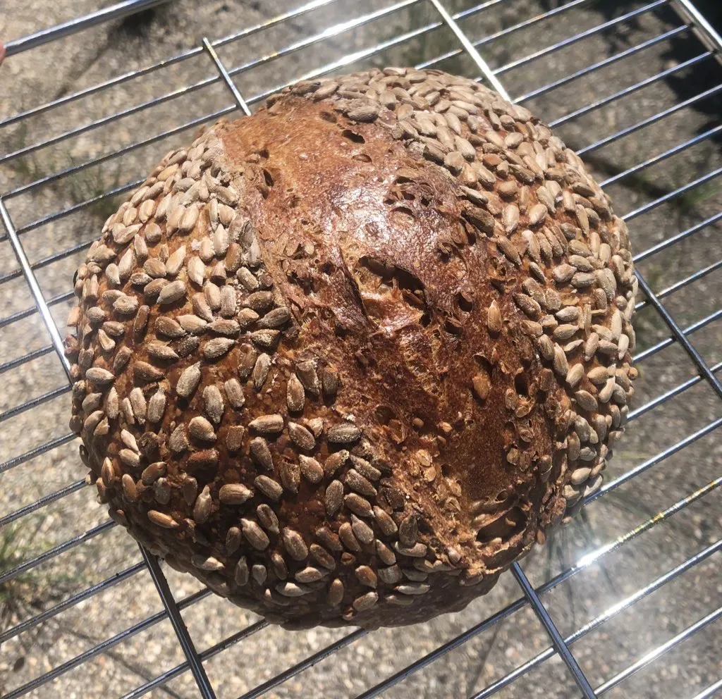 Sunflower seed loaf on a wire rack, decorated with seeds on the outside