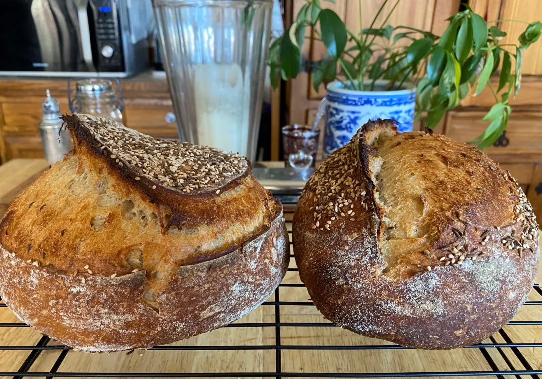 Sourdough Rye