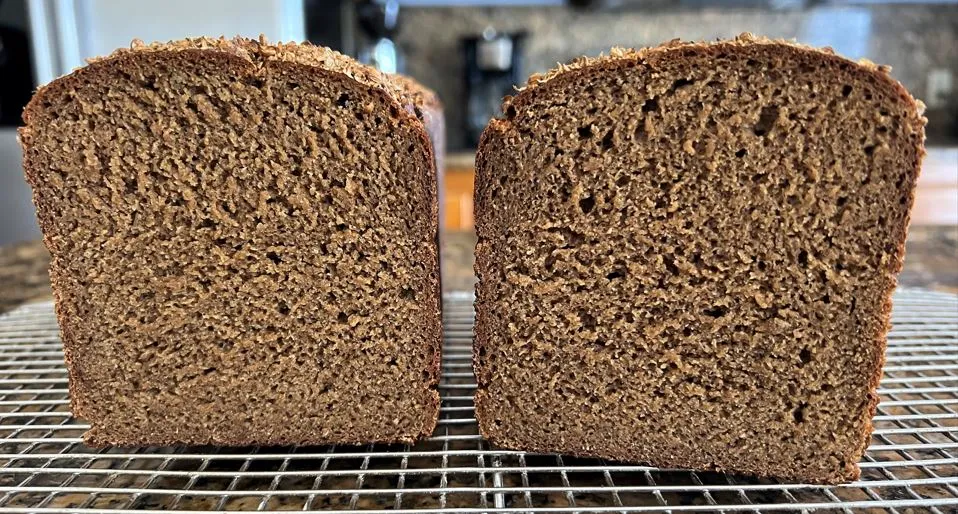 Lyubitelsky Rye (Russian) 4.15.2023 Crumb.JPG