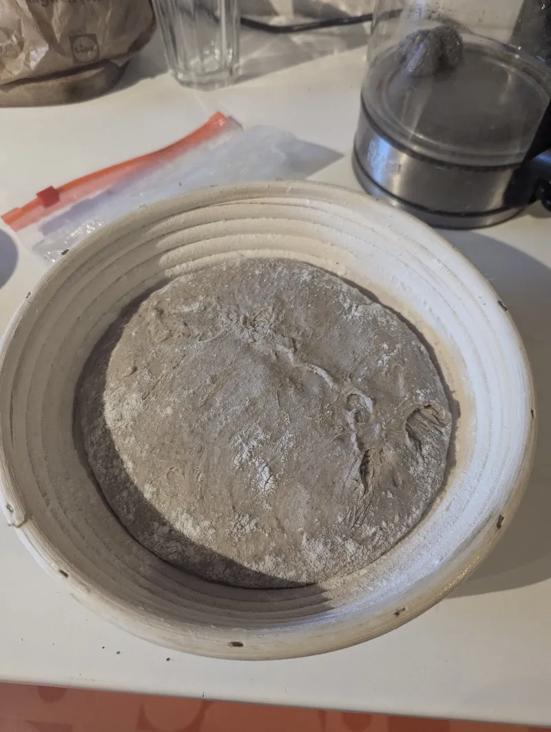 Resize_20241017_093929_9387.jpg Resize_20241017_093929_9387.jpg