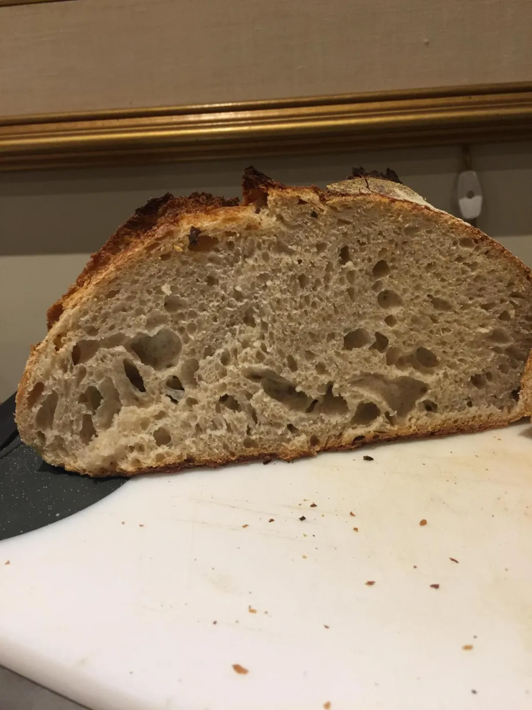 SD4 CRUMB SHOT.JPG