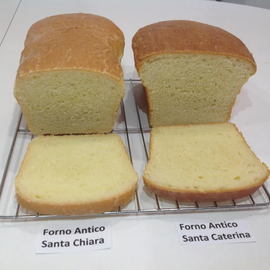 Semolina loaves.JPG