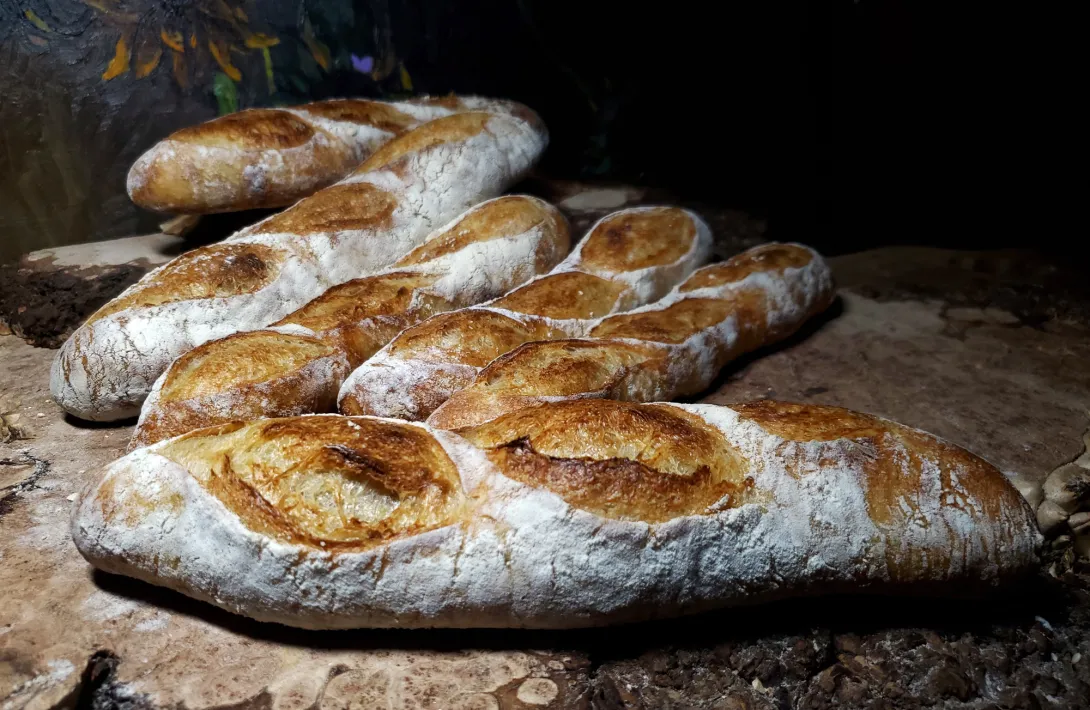 Sourdough Baguettes October 9th, 2019 a.jpg