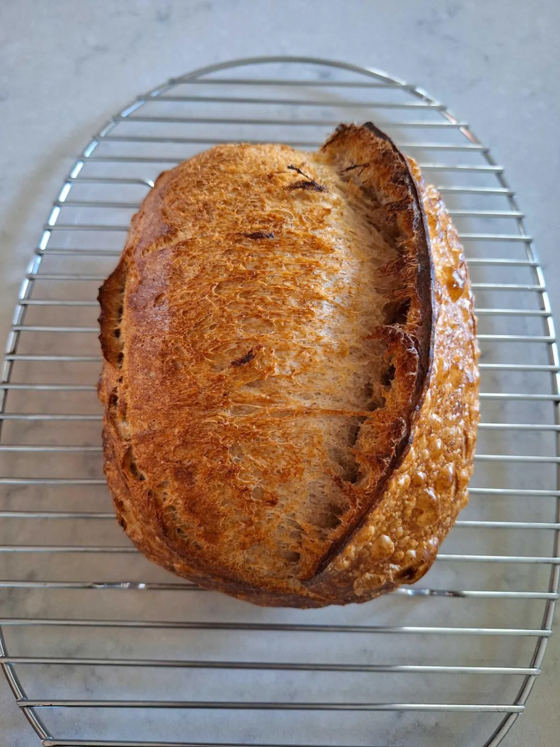 Sourdough from CSO.jpg