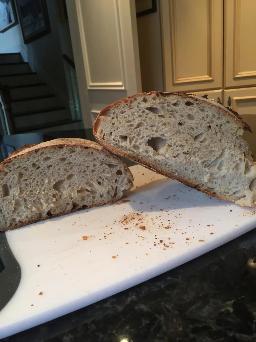 Tartine Crumb 1.JPG