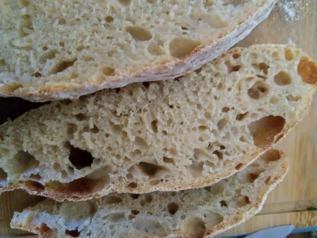 Ciabatta crumb