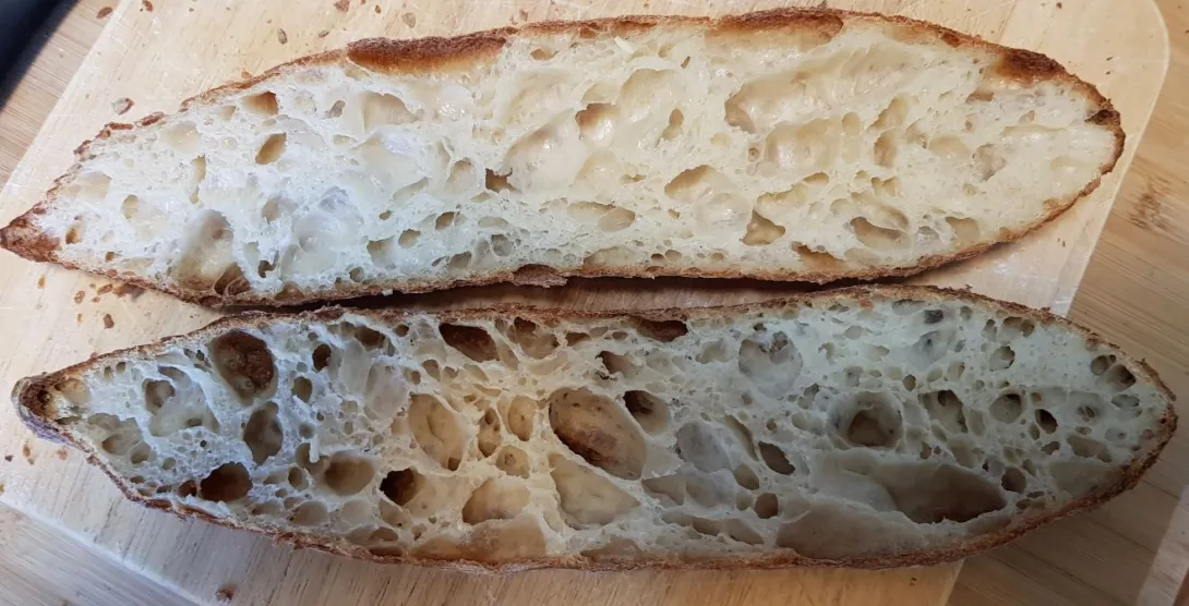 Baguette bake 1 @ 32h retard - full crumb