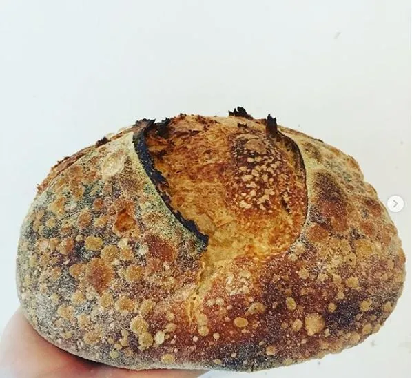 bread pic 1.JPG bread pic 1.JPG