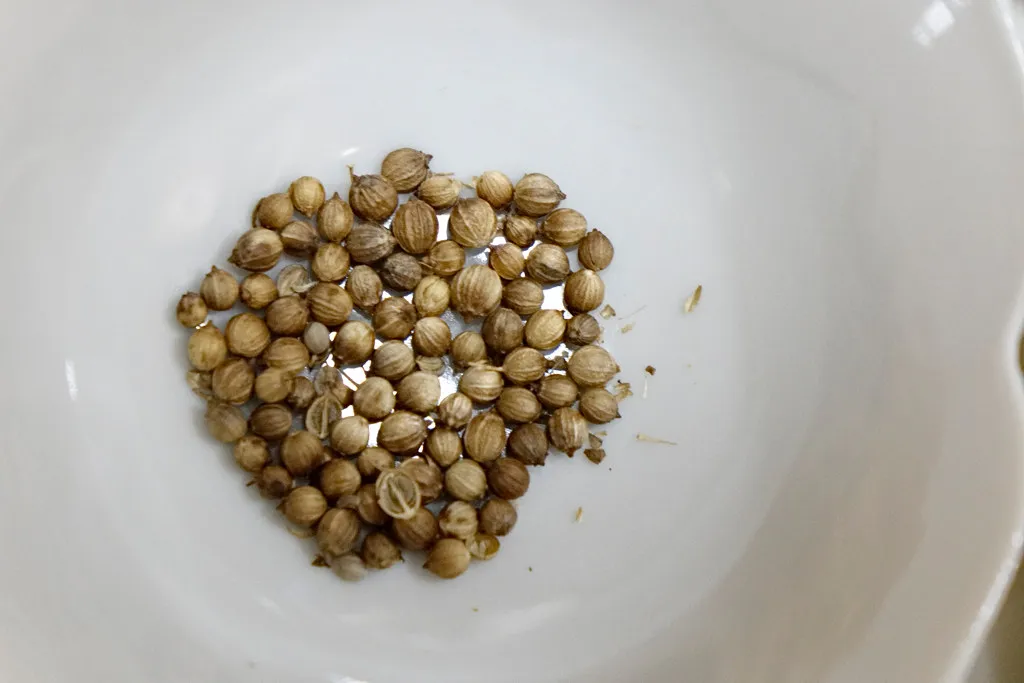 coriander_seeds.jpg