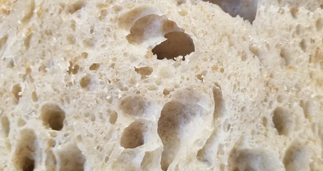 crumb closeup - Copy.jpg