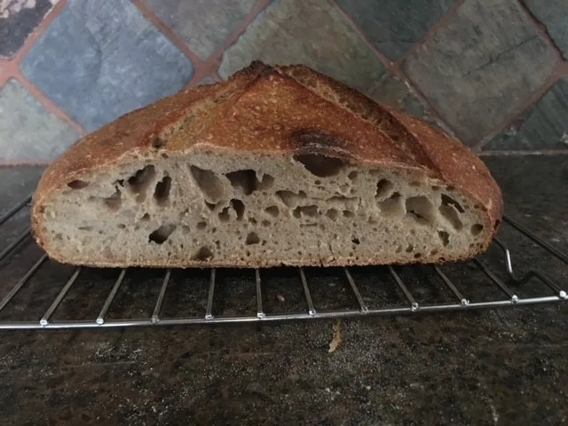 crumb.jpg