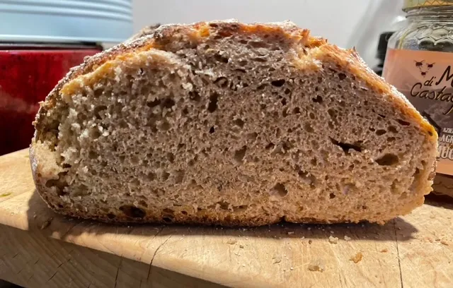 deli rye crumb.jpeg