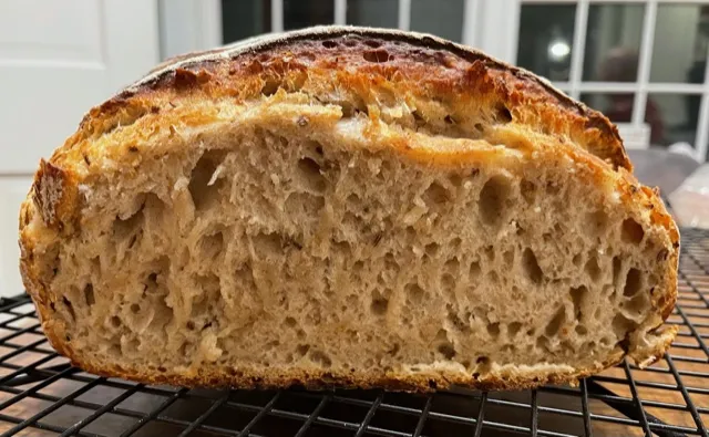 light rye crumb.jpeg