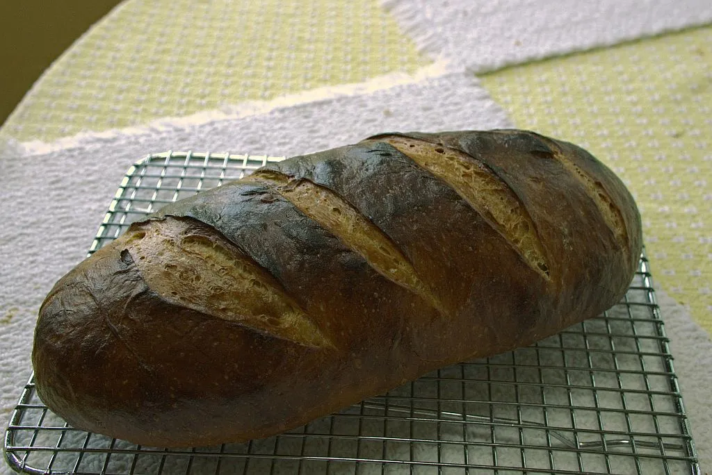 sourdough loaf with masa harina in the starter