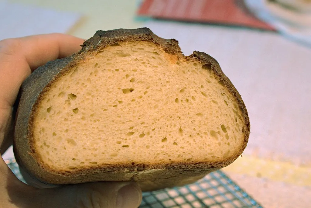 Masa Harina Sourdough Crumb