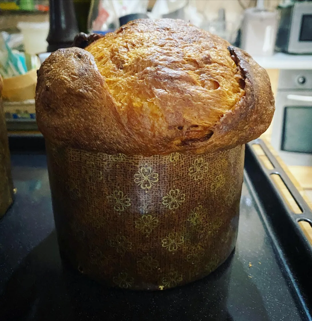 panettone yuzu.jpg