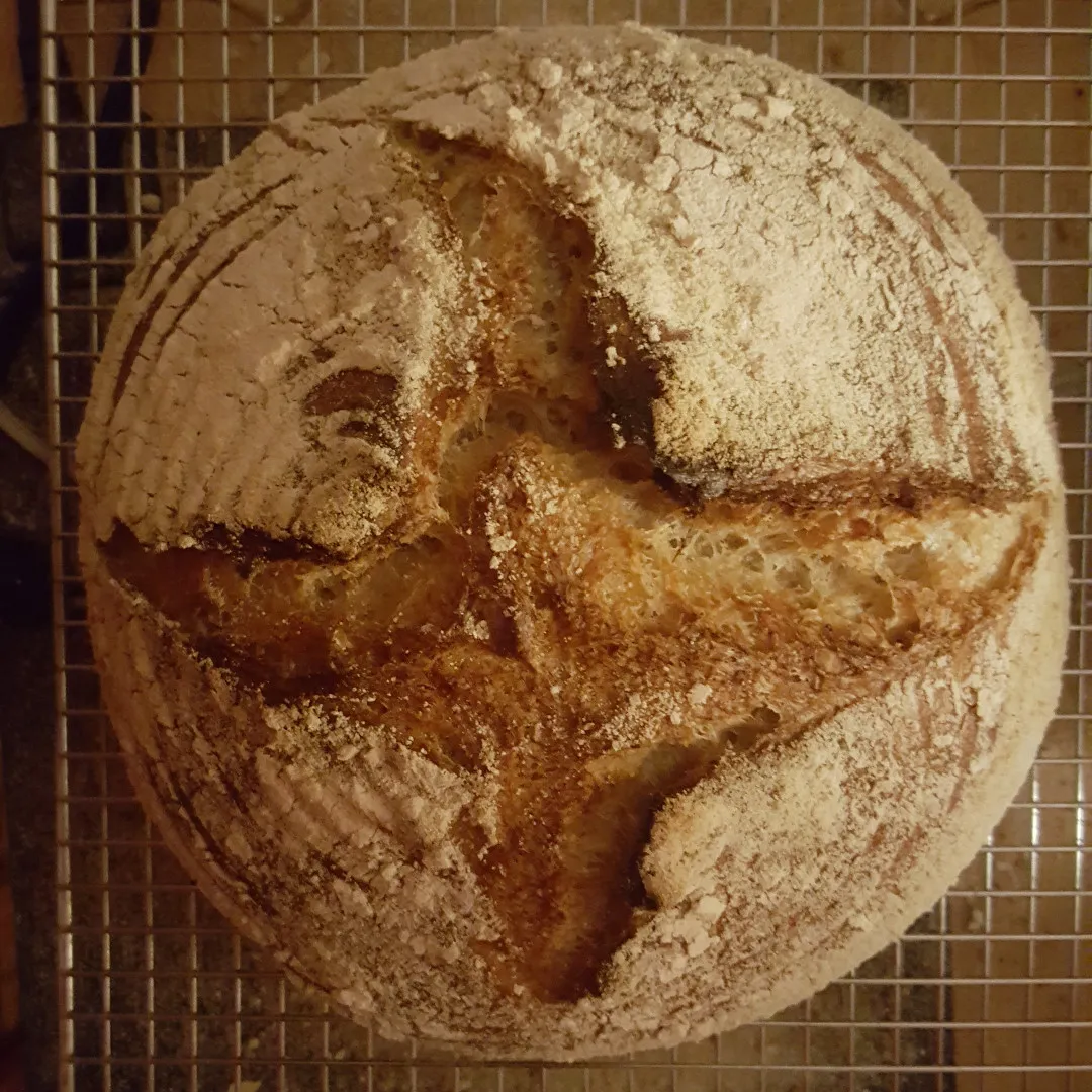 quarterkamutloaf.jpg