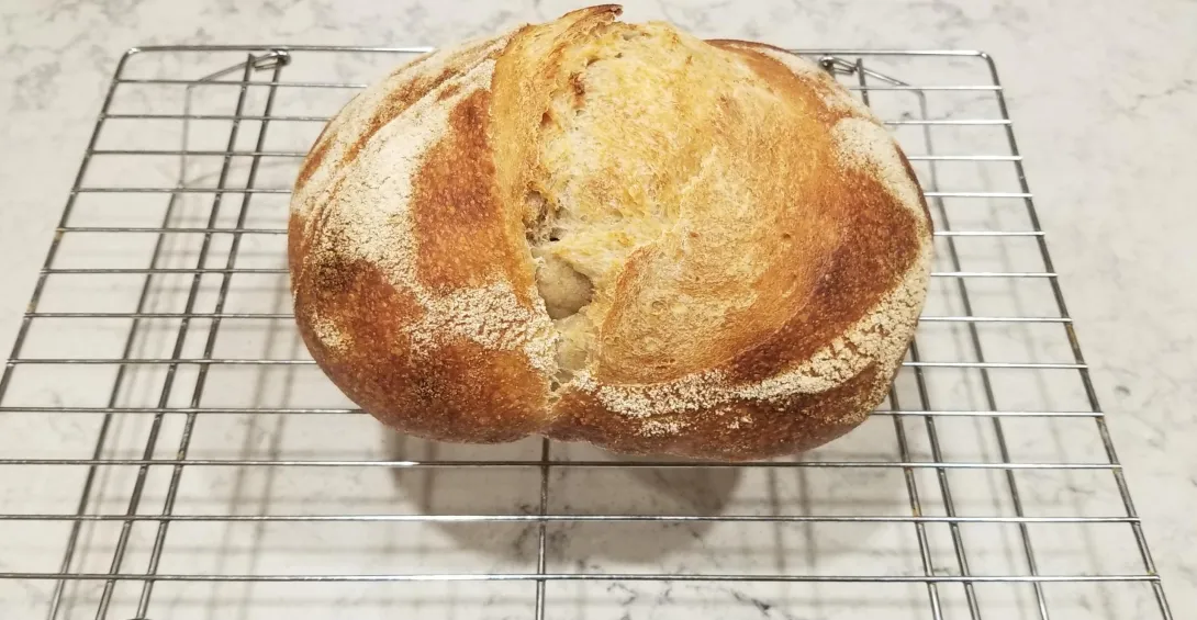 sourdough loaf - Copy.jpg