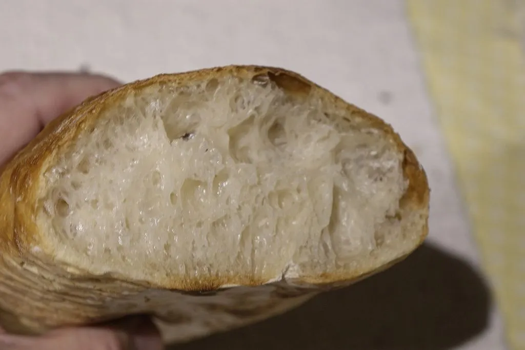 Sourdough Cristal Bread - Crumb