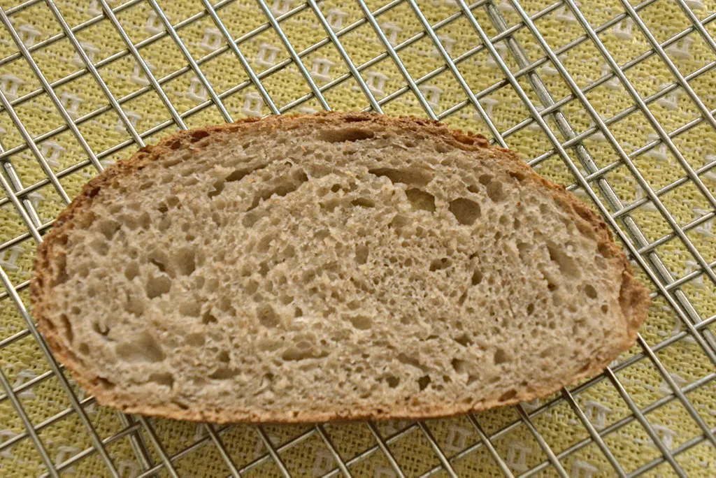 spelt-50-50-crumb.jpg