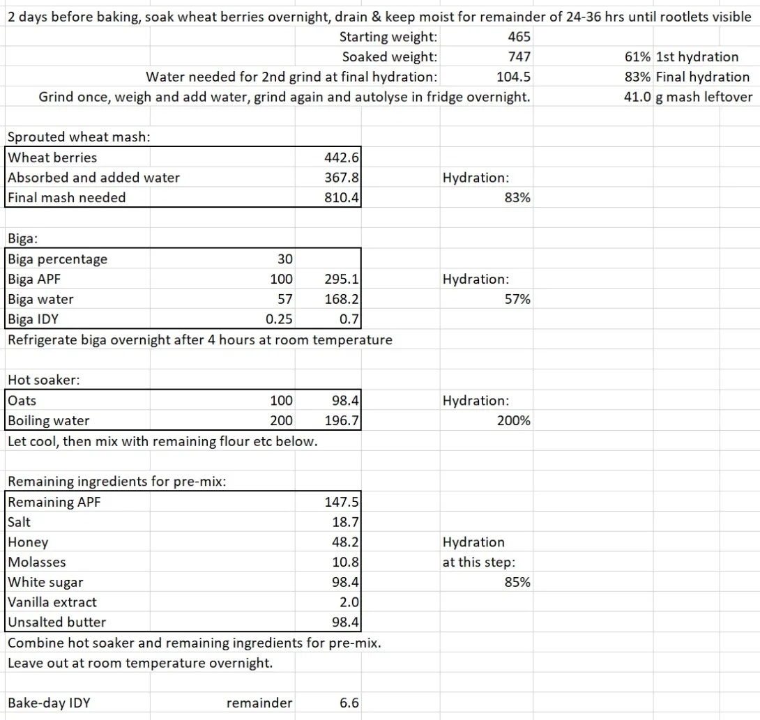 sprouted wheat and oats details.jpg