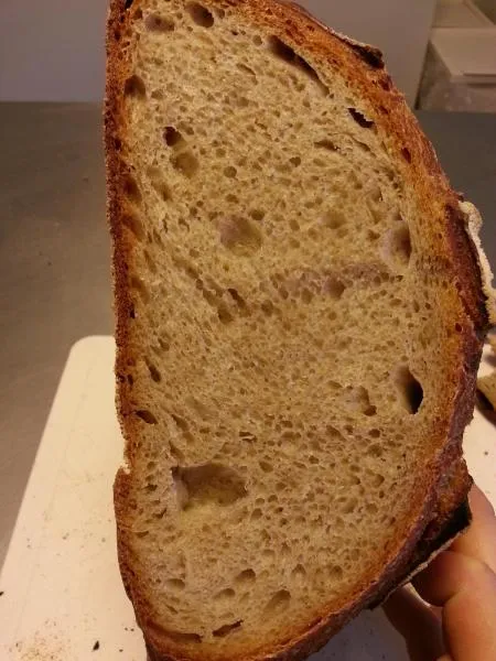 Crumb_1_Scaled.jpg