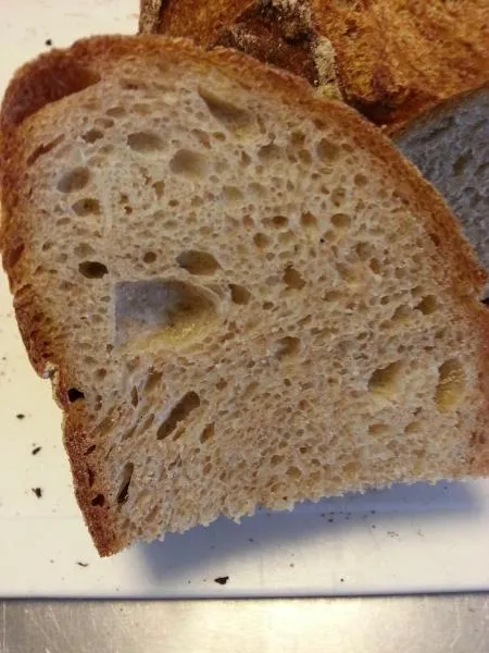 Crumb_2_Scaled.jpg