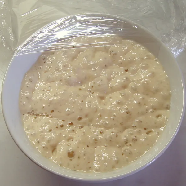 Beer-Yeast-Starter(3days).png