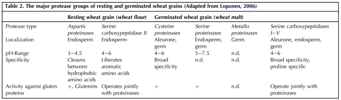 wheat_proteases.jpg